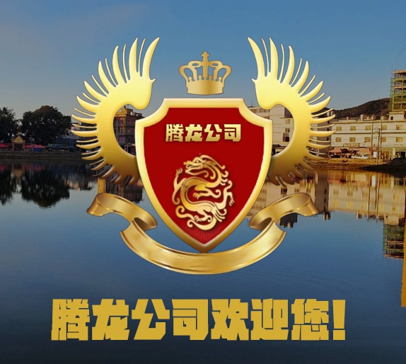 腾龙公司游戏会员服务与代理申请示意图